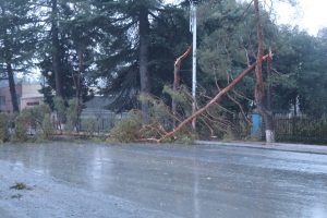 Непогода в Грузии – поваленные деревья, поврежденные крыши и сорванные концерты