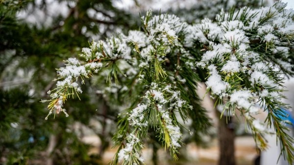 Народные приметы на Минин день: что нельзя делать 23 декабря?