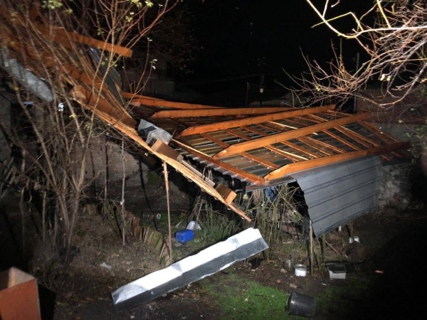 Вырванные деревья, заваленные дороги и поврежденные дома – непогода в Тбилиси и Кахетии (фото)