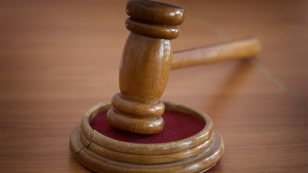 Рубить или не рубить – спор соседей из-за орехового дерева решит Верховный суд Грузии Рубить или не рубить – спор соседей из-за орехового дерева решит Верховный суд Грузии