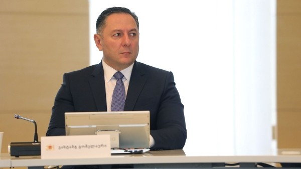 Граждан Грузии начнут депортировать из Германии? Гомелаури рассказал о новом договоре