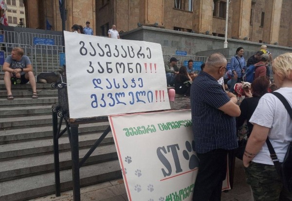 Мужчина в Тбилиси выбросил ротвейлера с восьмого этажа – прокуратура предъявила обвинения Мужчина в Тбилиси выбросил ротвейлера с восьмого этажа – прокуратура предъявила обвинения