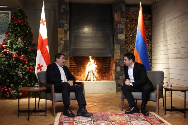 Грузинские и армянские депутаты обсудили форматы сотрудничества в Дилижане