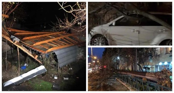 Вырванные деревья, заваленные дороги и поврежденные дома – непогода в Тбилиси и Кахетии (фото)