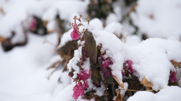 Народные приметы на Анфисин день: что нельзя делать 21 декабря? Народные приметы на Анфисин день: что нельзя делать 21 декабря?