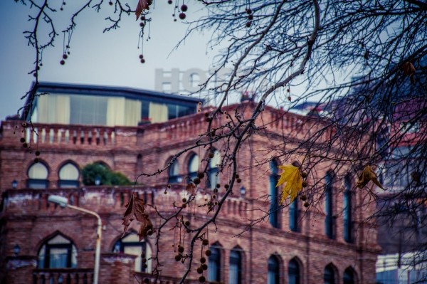 Синоптики предупредили о ночных морозах в Тбилиси