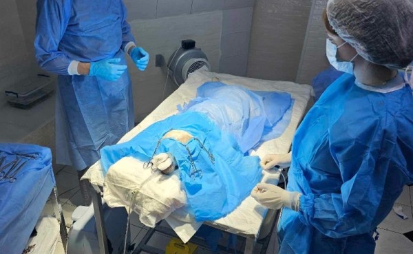 В Грузии грозят судом активисту, пытавшемуся спасти жестоко избитую собаку В Грузии грозят судом активисту, пытавшемуся спасти жестоко избитую собаку