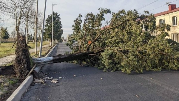 Чрезвычайная ситуация в Грузии: ураганный ветер сносил крыши и вырывал деревья с корнем Чрезвычайная ситуация в Грузии: ураганный ветер сносил крыши и вырывал деревья с корнем
