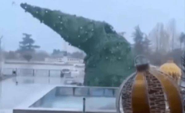 Непогода в Грузии – поваленные деревья, поврежденные крыши и сорванные концерты