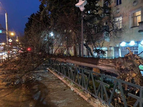Вырванные деревья, заваленные дороги и поврежденные дома – непогода в Тбилиси и Кахетии (фото)