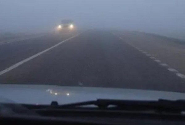 Вырванные деревья, заваленные дороги и поврежденные дома – непогода в Тбилиси и Кахетии (фото)