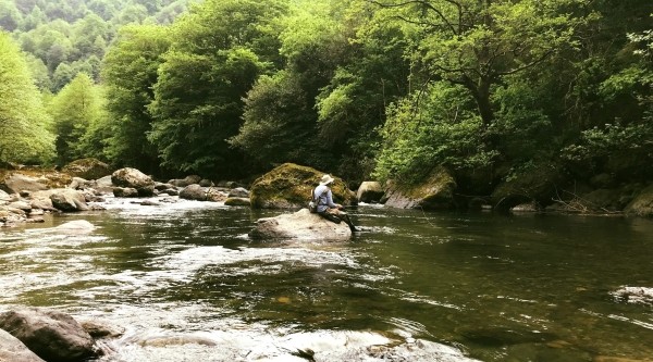 В Грузии ужесточены санкции за незаконную ловлю рыбы. В Грузии ужесточены санкции за незаконную ловлю рыбы.