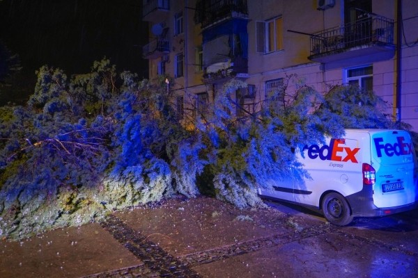 В Батуми ликвидируют последствиях урагана В Батуми ликвидируют последствиях урагана