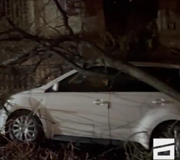 Вырванные деревья, заваленные дороги и поврежденные дома – непогода в Тбилиси и Кахетии (фото)