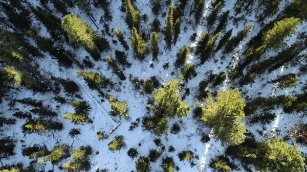 Народные приметы на Евстратиев день 2023: что нельзя делать 26 декабря?