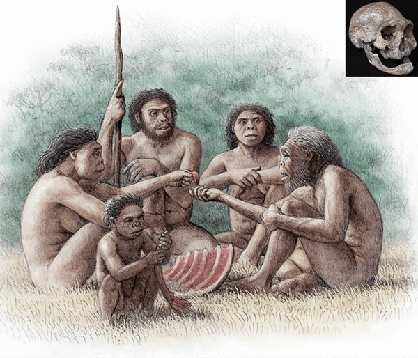 Кинологи призывают официально признать Грузию родиной собак