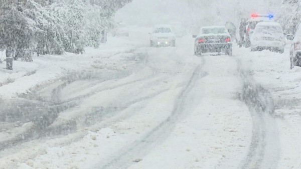 Движение автотранспорта к границе Грузии с Арменией восстановлено
