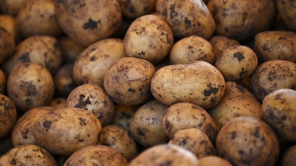 Грузия вернула в Россию более 20 тонн некачественного картофеля