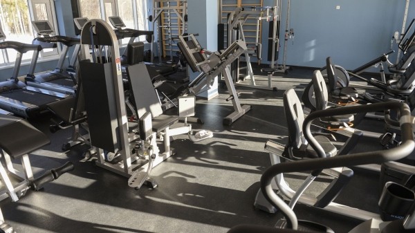 Как часто вы занимаетесь спортом?