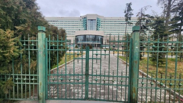 Протестующие врачи требуют встречи с премьером - ответ Минздрава Грузии