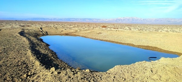 На охраняемой территории Самухи для джейранов оборудовали водоемы На охраняемой территории Самухи для джейранов оборудовали водоемы