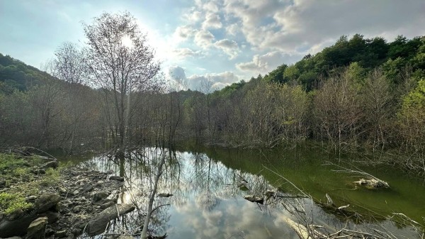 В Грузии изучат 22 ледниковых ущелья