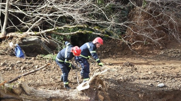 Геологи продолжают работать в зонах стихийных бедствий в Грузии