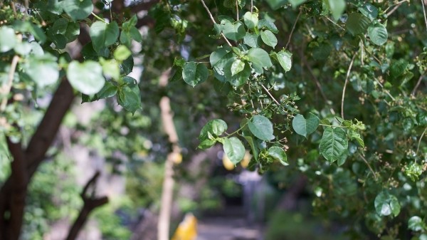 Народные приметы на Евдокиев день 2024: что нельзя делать 14 марта?