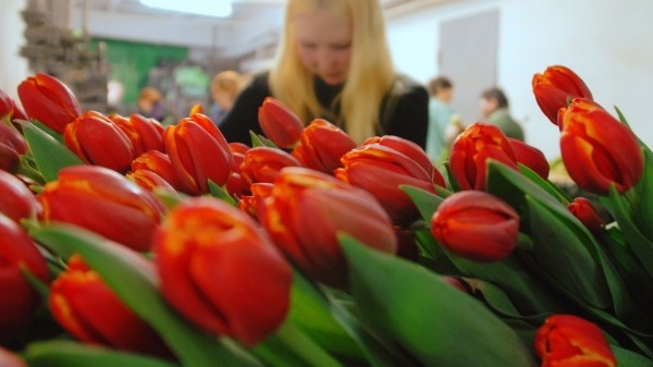 Международный женский день отмечают в Грузии