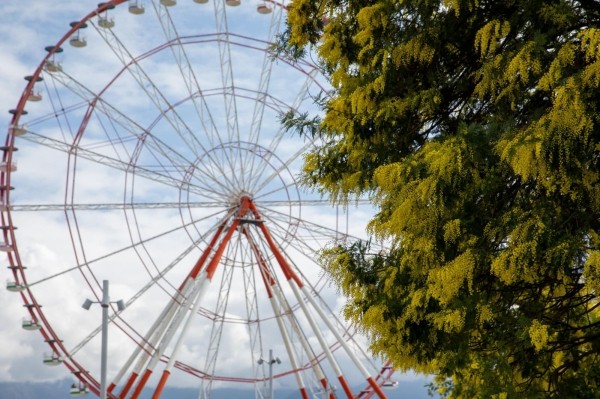 Синоптики прогнозируют до +19 градусов в Грузии на выходных Синоптики прогнозируют до +19 градусов в Грузии на выходных