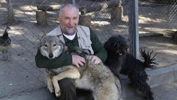 В Тбилисском зоопарке скоро поселятся жирафы – что рассказывает Зураб Гуриелидзе В Тбилисском зоопарке скоро поселятся жирафы – что рассказывает Зураб Гуриелидзе