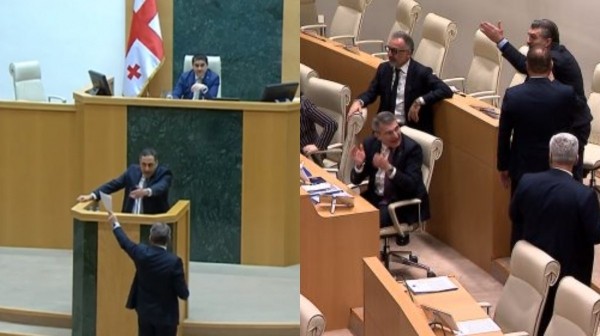 Депутаты парламента Грузии чуть не подрались, обсуждая проблемы эмигрантов
