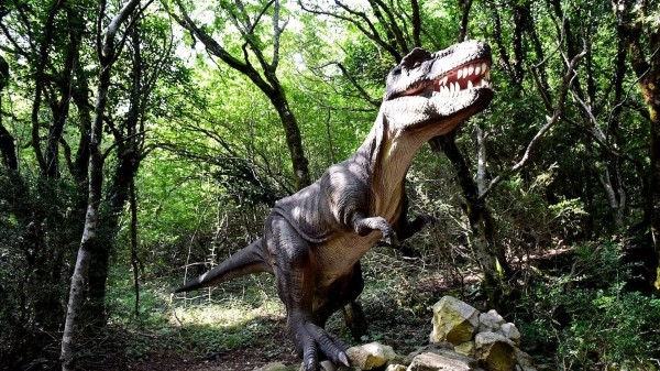 В Грузии установлены новые цены на посещение Национальных парков