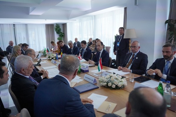 Грузия, Азербайджан, Венгрия и Румыния создадут компанию для прокладки кабеля в Черном море