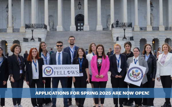 В Грузии начат прием заявок на программу профессионального обмена в США