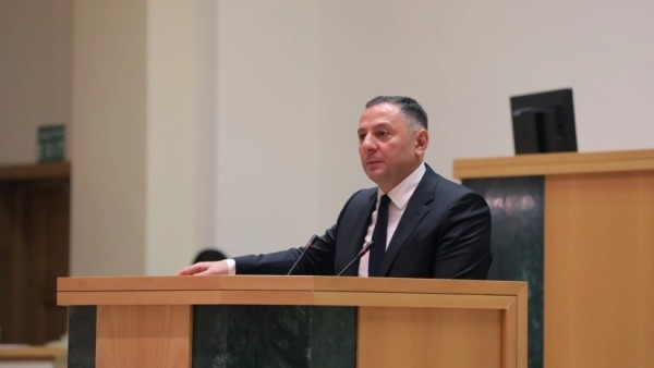 Глава МВД обвинил протестующих в Тбилиси в попытке штурма администрации правительства