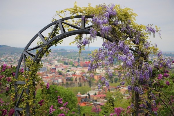 Жаркая погода без существенных осадков ожидается в Грузии в выходные