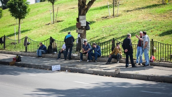 Безработица в Грузии на историческом минимуме за последние 20 лет – исследование Безработица в Грузии на историческом минимуме за последние 20 лет – исследование