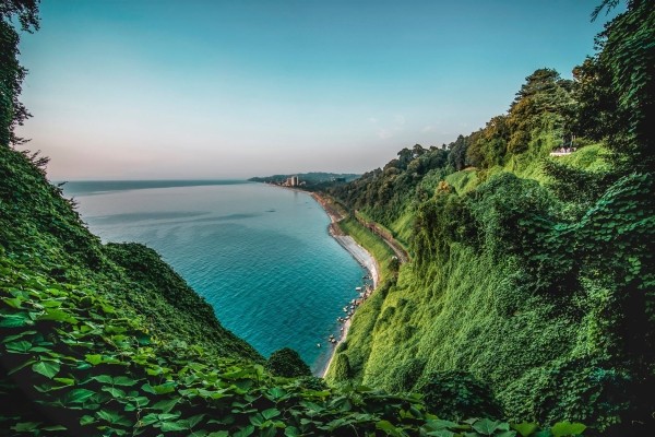 Вход в Батумский ботанический сад будет бесплатным на «Батумоба»