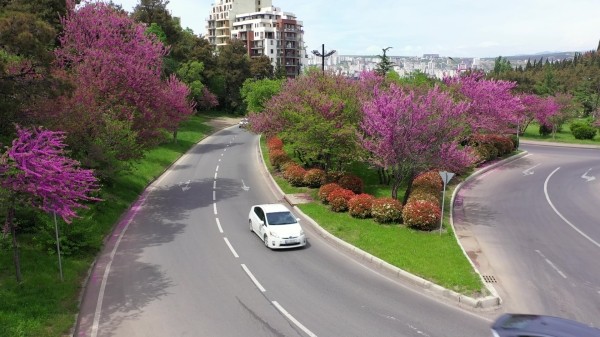Синоптики обещают прохладную погоду в Тбилиси на выходных Синоптики обещают прохладную погоду в Тбилиси на выходных