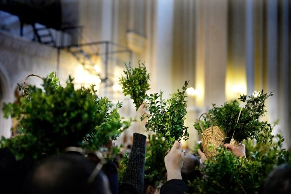 Вербное воскресенье, или «Бзоба» отмечают в Грузии — праздник Входа Господня в Иерусалим