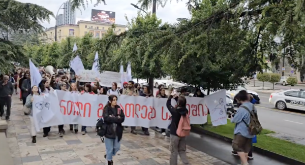 В Тбилиси преподаватели вузов вышли протестовать против закона об иноагентах В Тбилиси преподаватели вузов вышли протестовать против закона об иноагентах