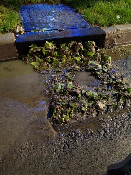 Мэрия Тбилиси объяснила наводнение на Церетели сбором листьев у дренажных решеток Мэрия Тбилиси объяснила наводнение на Церетели сбором листьев у дренажных решеток