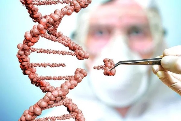 «Тайны» грузинской генетики — результат исследований Пенсильванского университета «Тайны» грузинской генетики — результат исследований Пенсильванского университета