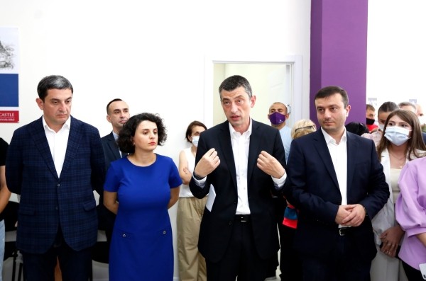 В партии Гахария призвали протестующих у парламента не идти на провокации властей