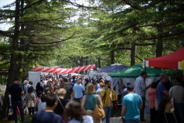 «Фестиваль нового вина» пройдет сегодня в Тбилиси «Фестиваль нового вина» пройдет сегодня в Тбилиси