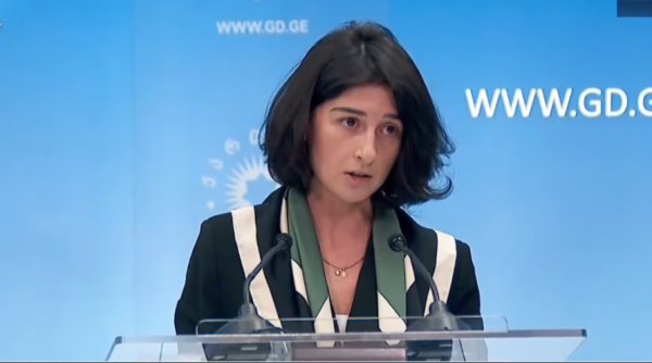 В «Грузинской мечте» не согласились с выводами Венецианской комиссии