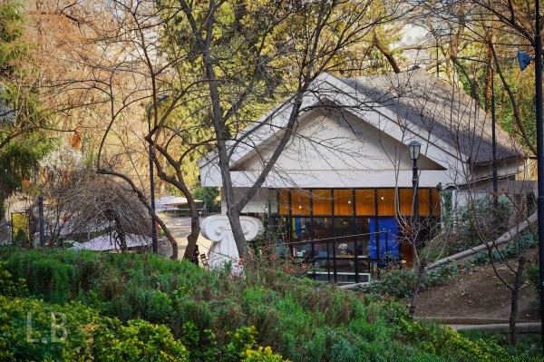 Тбилисское социальное кафе «Мзиури» оказалось на грани закрытия и просит помощи Тбилисское социальное кафе «Мзиури» оказалось на грани закрытия и просит помощи