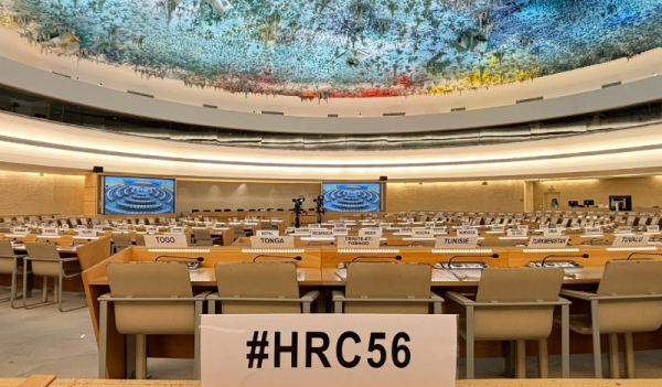 На сессии СПЧ 36 стран призвали правительство Грузии отменить закон об иноагентах На сессии СПЧ 36 стран призвали правительство Грузии отменить закон об иноагентах