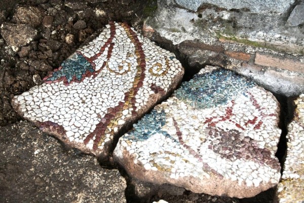«Показался и совершенно новый, ранее неизвестный фрагмент, считают, что это мозаика V-VI веков» — уникальная находка в крепости Петра (фото) «Показался и совершенно новый, ранее неизвестный фрагмент, считают, что это мозаика V-VI веков» — уникальная находка в крепости Петра (фото)